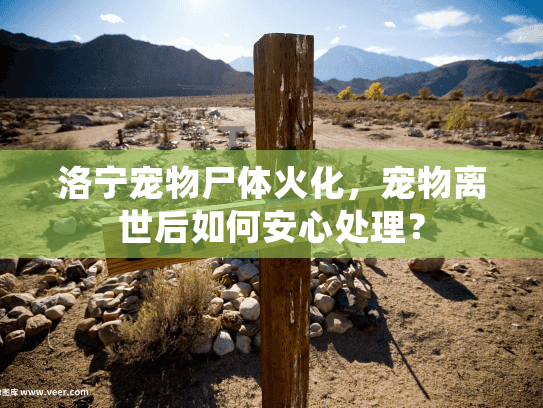 洛宁宠物尸体火化，宠物离世后如何安心处理？