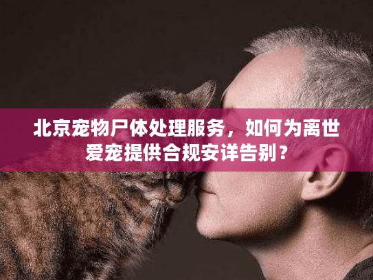 北京宠物尸体处理服务，如何为离世爱宠提供合规安详告别？