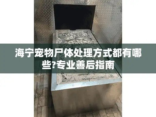 海宁宠物尸体处理方式都有哪些?专业善后指南