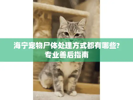 海宁宠物尸体处理方式都有哪些?专业善后指南