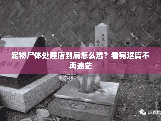 宠物尸体处理店到底怎么选?看完这篇不再迷茫 宠物尸体处理店到底怎么选?看完这篇不再迷茫