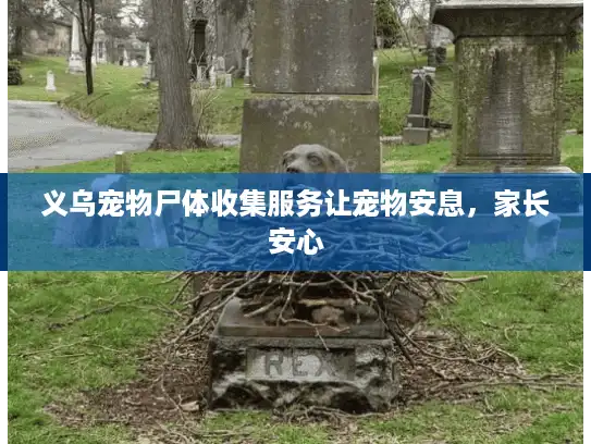 义乌宠物尸体收集服务让宠物安息,家长安心 义乌宠物尸体收集服务让宠物安息,家长安心