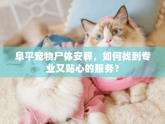 阜平宠物尸体安葬，如何找到专业又贴心的服务？