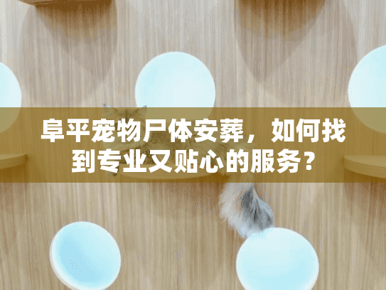 阜平宠物尸体安葬，如何找到专业又贴心的服务？