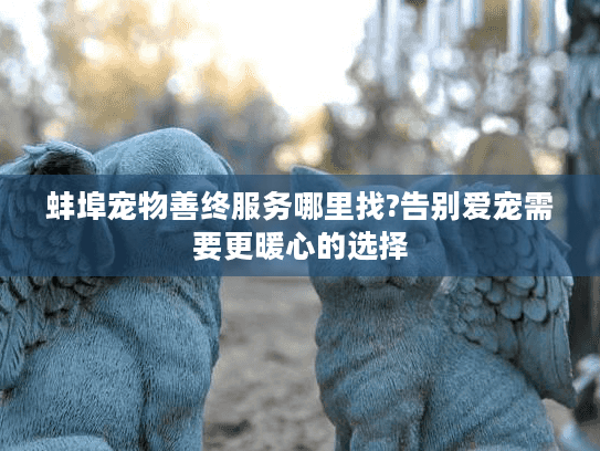 蚌埠宠物善终服务哪里找?告别爱宠需要更暖心的选择 蚌埠宠物善终服务哪里找?告别爱宠需要更暖心的选择