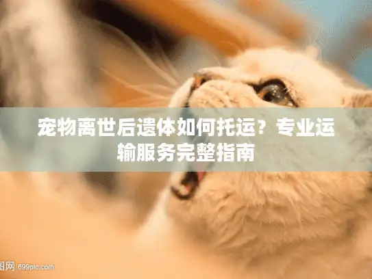 宠物离世后遗体如何托运?专业运输服务完整指南 宠物离世后遗体如何托运?专业运输服务完整指南