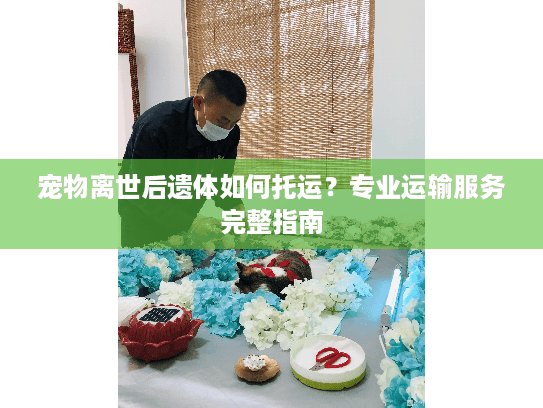宠物离世后遗体如何托运?专业运输服务完整指南 宠物离世后遗体如何托运?专业运输服务完整指南