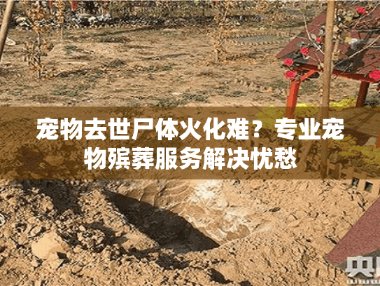 宠物去世尸体火化难?专业宠物殡葬服务解决忧愁 宠物去世尸体火化难?专业宠物殡葬服务解决忧愁