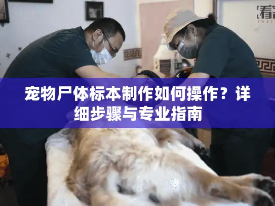 宠物尸体标本制作如何操作？详细步骤与专业指南