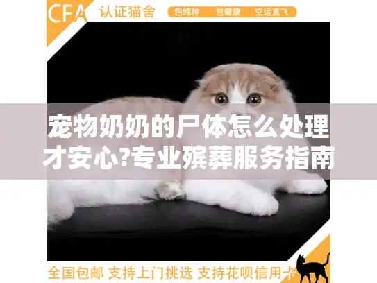 宠物奶奶的尸体怎么处理才安心?专业殡葬服务指南
