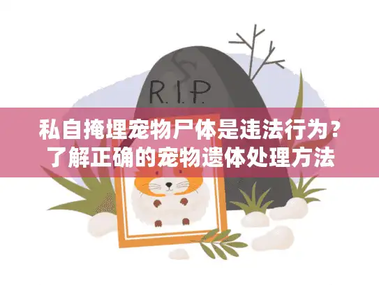 私自掩埋宠物尸体是违法行为？了解正确的宠物遗体处理方法