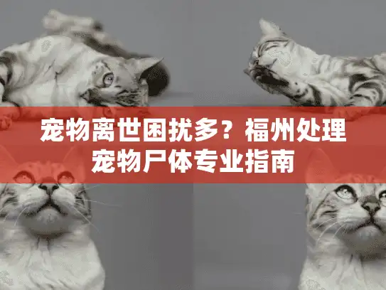 宠物离世困扰多？福州处理宠物尸体专业指南
