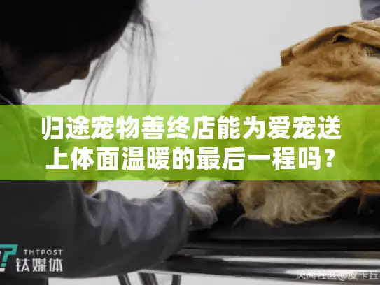 归途宠物善终店能为爱宠送上体面温暖的最后一程吗？