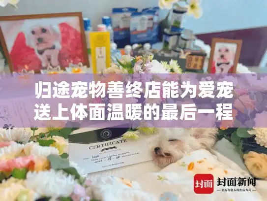 归途宠物善终店能为爱宠送上体面温暖的最后一程吗？