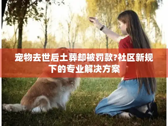 宠物去世后土葬却被罚款?社区新规下的专业解决方案