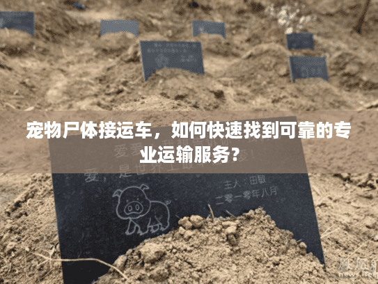 宠物尸体接运车，如何快速找到可靠的专业运输服务？