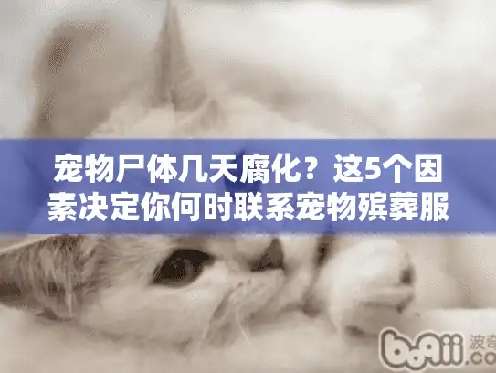 宠物尸体几天腐化？这5个因素决定你何时联系宠物殡葬服务