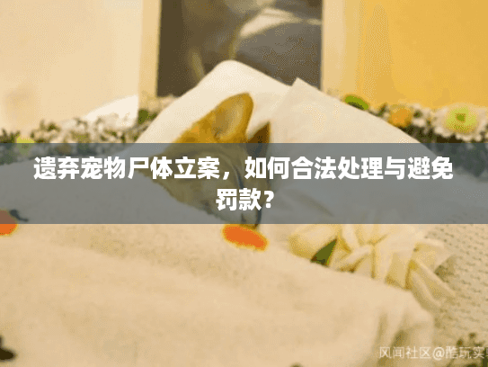 遗弃宠物尸体立案，如何合法处理与避免罚款？