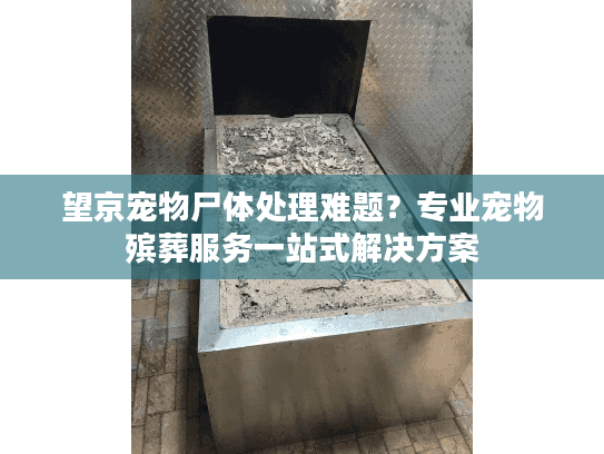 望京宠物尸体处理难题？专业宠物殡葬服务一站式解决方案