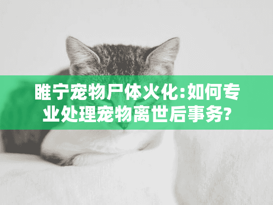 睢宁宠物尸体火化:如何专业处理宠物离世后事务? 睢宁宠物尸体火化:如何专业处理宠物离世后事务?