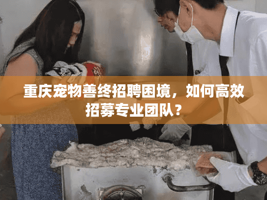 重庆宠物善终招聘困境，如何高效招募专业团队？