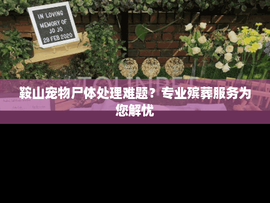 鞍山宠物尸体处理难题？专业殡葬服务为您解忧