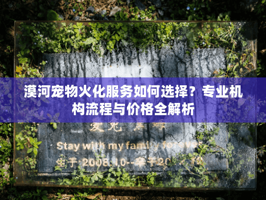 漠河宠物火化服务如何选择？专业机构流程与价格全解析