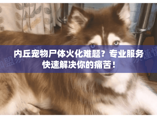 内丘宠物尸体火化难题？专业服务快速解决你的痛苦！
