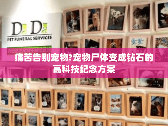 痛苦告别宠物?宠物尸体变成钻石的高科技纪念方案