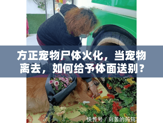 方正宠物尸体火化，当宠物离去，如何给予体面送别？