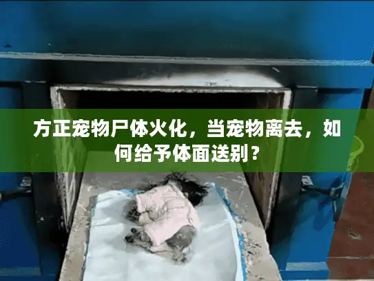 方正宠物尸体火化，当宠物离去，如何给予体面送别？