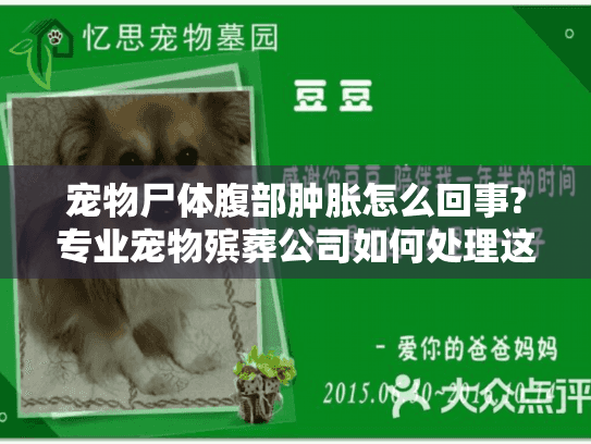 宠物尸体腹部肿胀怎么回事?专业宠物殡葬公司如何处理这种状况? 宠物尸体腹部肿胀怎么回事?专业宠物殡葬公司如何处理这种状况?