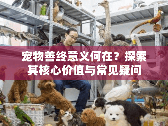 宠物善终意义何在？探索其核心价值与常见疑问