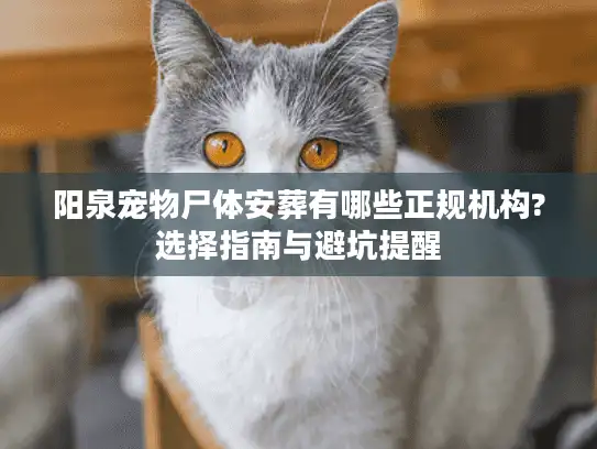 阳泉宠物尸体安葬有哪些正规机构?选择指南与避坑提醒