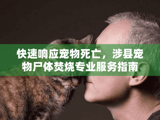 快速响应宠物死亡，涉县宠物尸体焚烧专业服务指南