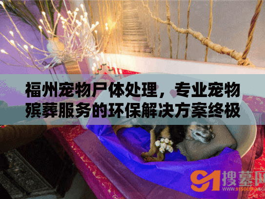 福州宠物尸体处理,专业宠物殡葬服务的环保解决方案终极指南 福州宠物尸体处理,专业宠物殡葬服务的环保解决方案终极指南