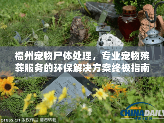 福州宠物尸体处理,专业宠物殡葬服务的环保解决方案终极指南 福州宠物尸体处理,专业宠物殡葬服务的环保解决方案终极指南