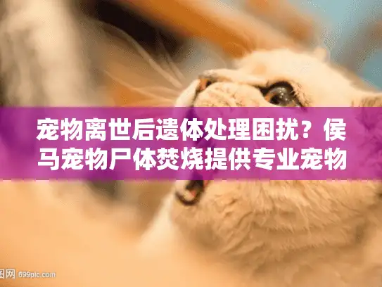 宠物离世后遗体处理困扰?侯马宠物尸体焚烧提供专业宠物殡葬服务 宠物离世后遗体处理困扰?侯马宠物尸体焚烧提供专业宠物殡葬服务