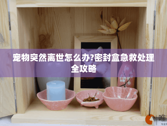宠物突然离世怎么办?密封盒急救处理全攻略