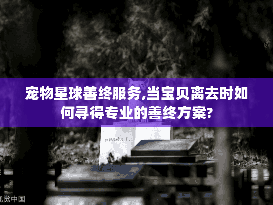 宠物星球善终服务,当宝贝离去时如何寻得专业的善终方案?