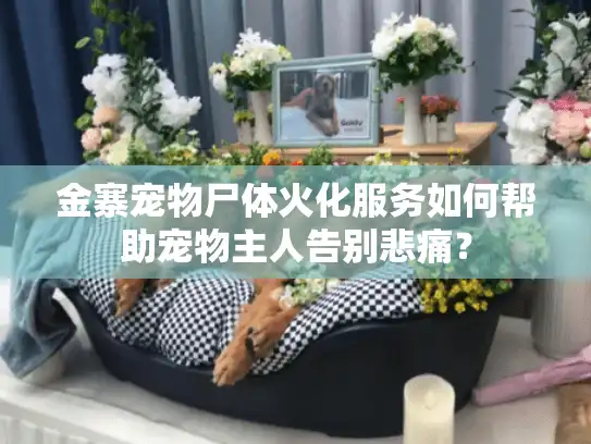 金寨宠物尸体火化服务如何帮助宠物主人告别悲痛？
