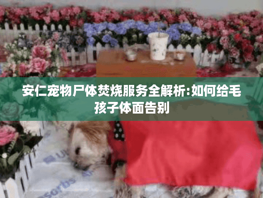 安仁宠物尸体焚烧服务全解析:如何给毛孩子体面告别