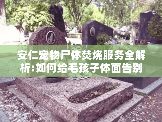 安仁宠物尸体焚烧服务全解析:如何给毛孩子体面告别