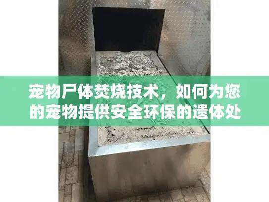 宠物尸体焚烧技术,如何为您的宠物提供安全环保的遗体处理? 宠物尸体焚烧技术,如何为您的宠物提供安全环保的遗体处理?