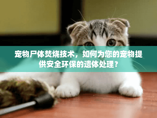 宠物尸体焚烧技术,如何为您的宠物提供安全环保的遗体处理? 宠物尸体焚烧技术,如何为您的宠物提供安全环保的遗体处理?