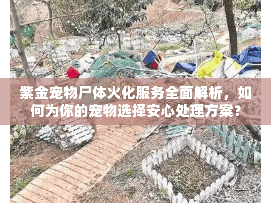 紫金宠物尸体火化服务全面解析，如何为你的宠物选择安心处理方案？