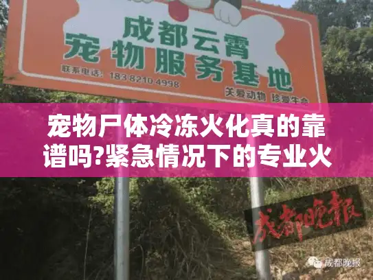 宠物尸体冷冻火化真的靠谱吗?紧急情况下的专业火化服务解析