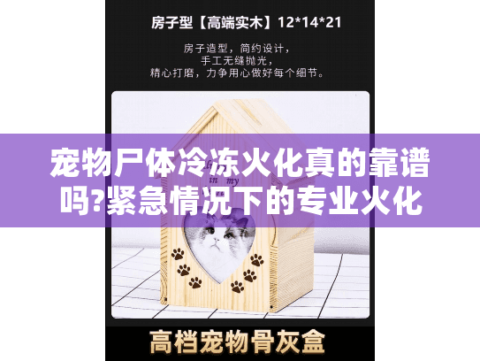 宠物尸体冷冻火化真的靠谱吗?紧急情况下的专业火化服务解析