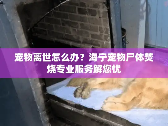 宠物离世怎么办？海宁宠物尸体焚烧专业服务解您忧
