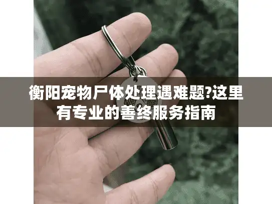 衡阳宠物尸体处理遇难题?这里有专业的善终服务指南 衡阳宠物尸体处理遇难题?这里有专业的善终服务指南